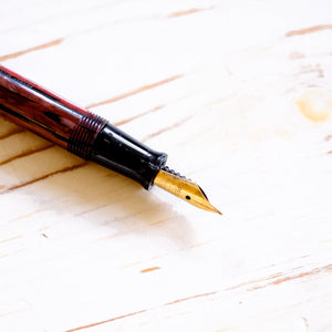 Vintage Wearever Fountain Pen Fountain Pen Wearever 