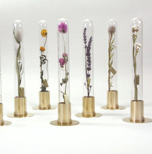 Herbarium Brass & Glass Domed Vase Vases Papillon Press 
