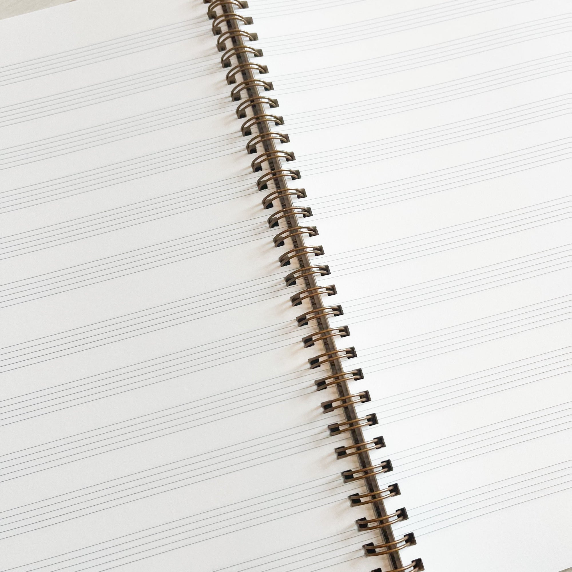 Wire Bound Notebook - Large Wire Bound Notebook Papillon Press Music Staff 