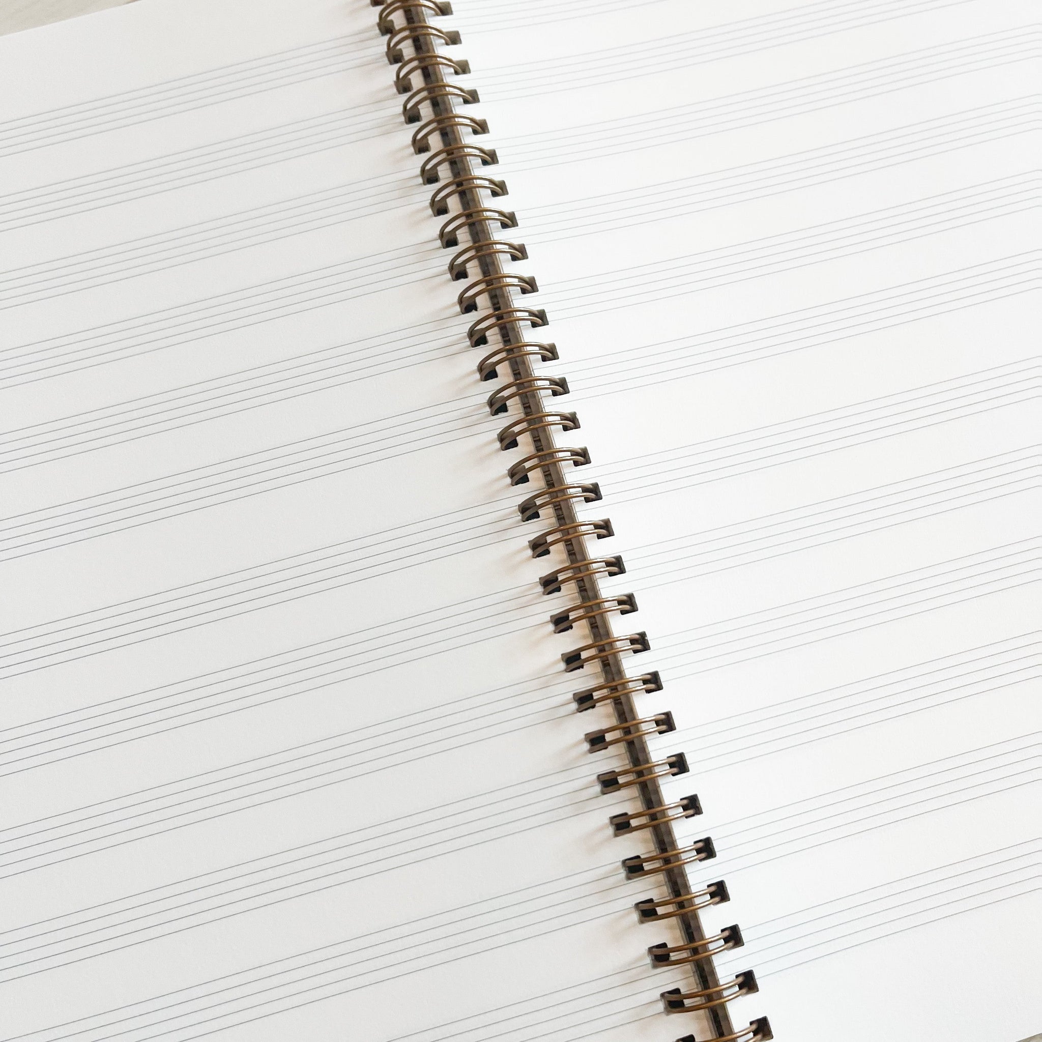 Wire Bound Notebook - Large - Papillon Press