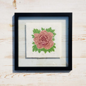 Peony Reduction Print - Framed Art Print Papillon Press 