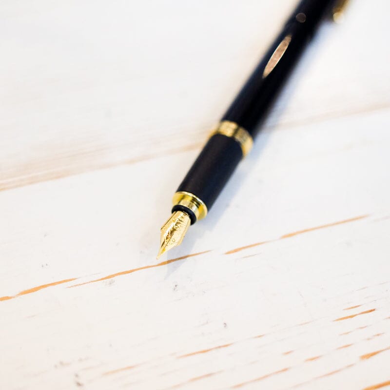 Ohto Celsus Fountain Pen Fountain Pen Ohto 